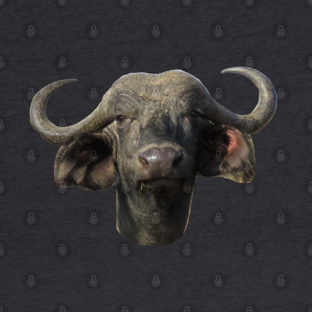 Water Buffalo Ox Portrait by ellenhenryart